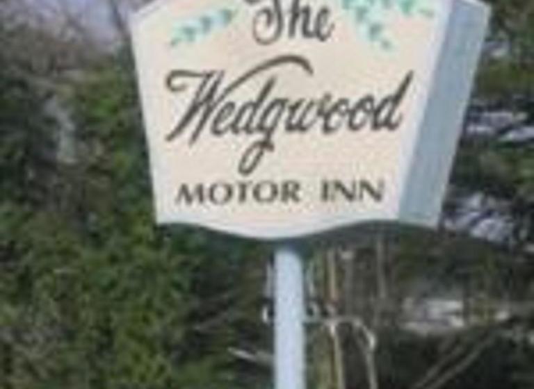旅馆 Wedgewood Motor Inn