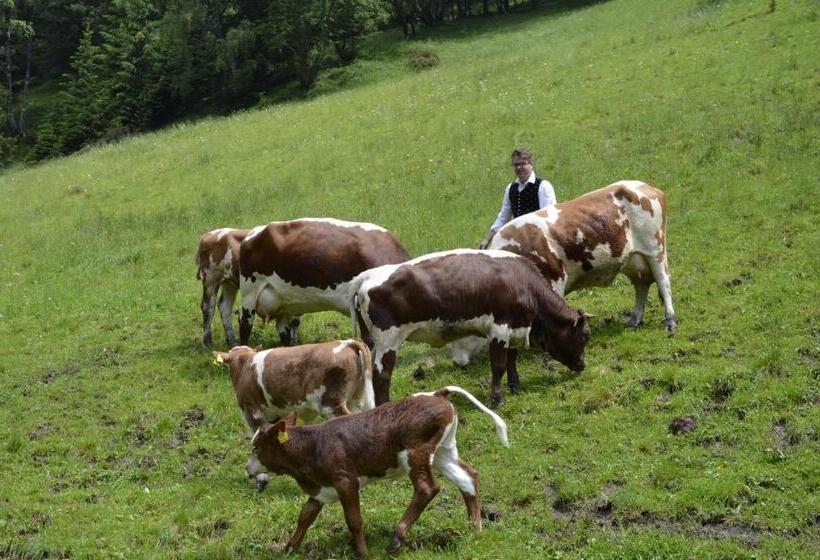 Panoramapension Lerchner