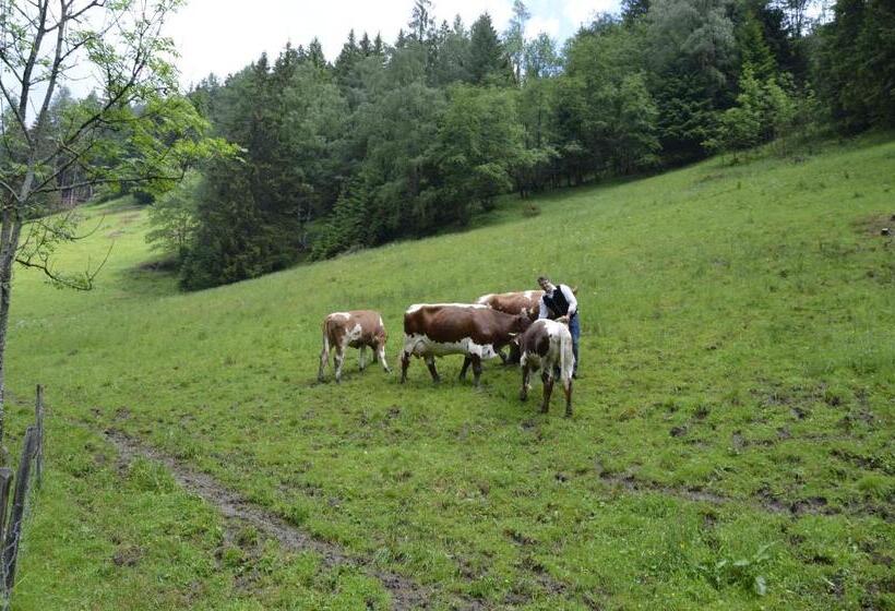 Panoramapension Lerchner