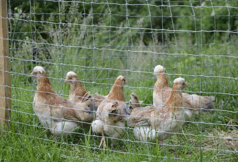Panoramapension Lerchner