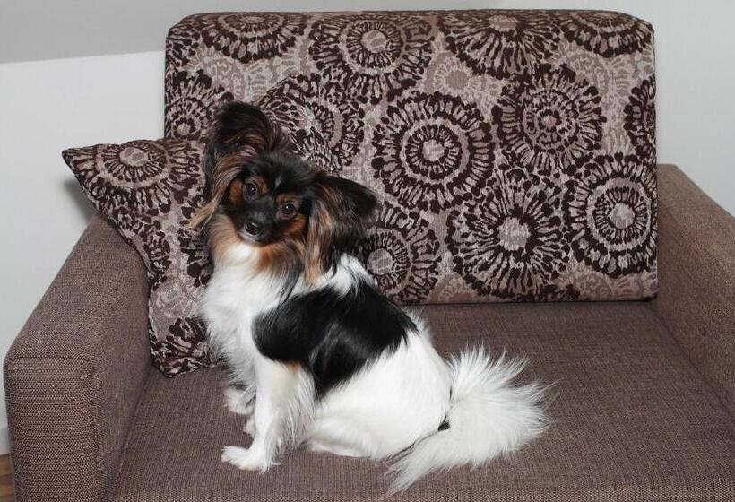 펜션 Bílý Jednorožec