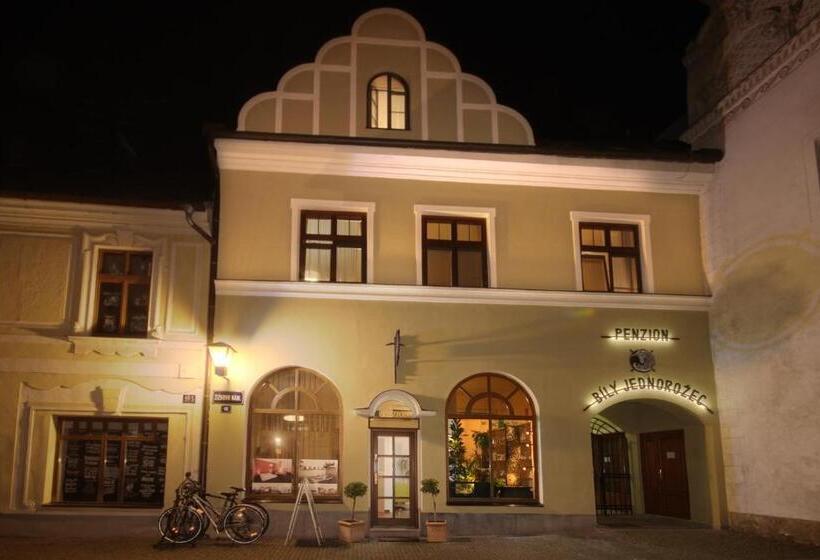 펜션 Bílý Jednorožec