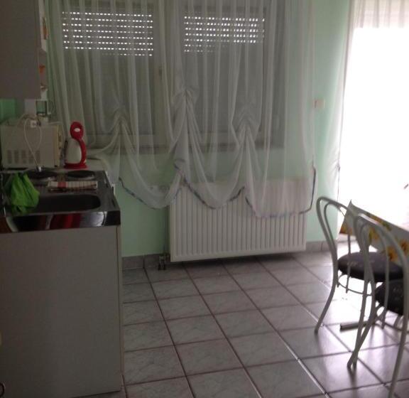 ペンション Györgyi Haus