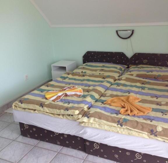 ペンション Györgyi Haus