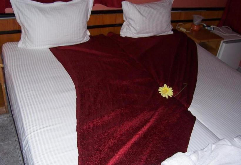 膳宿费 Nelly Guest House