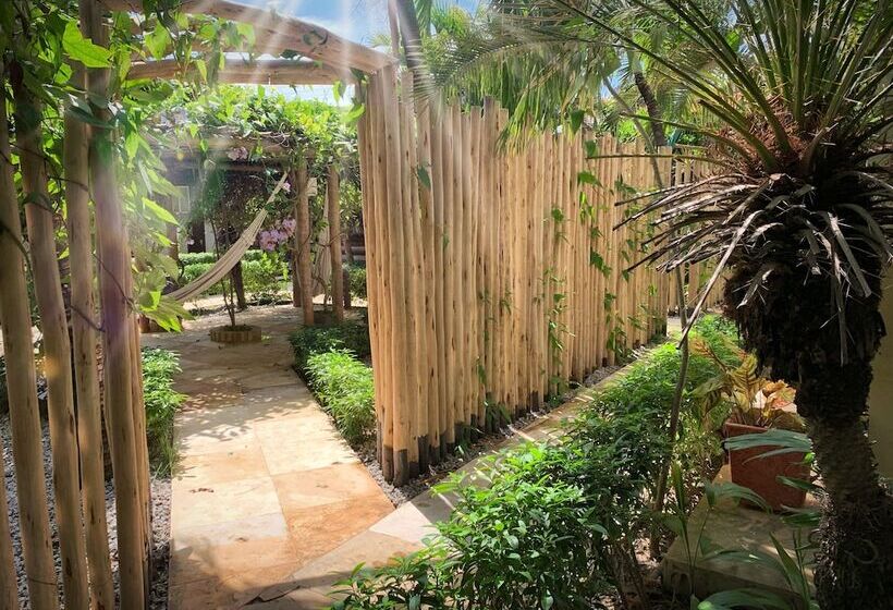 פנסיון Pousada Oasis Paracuru