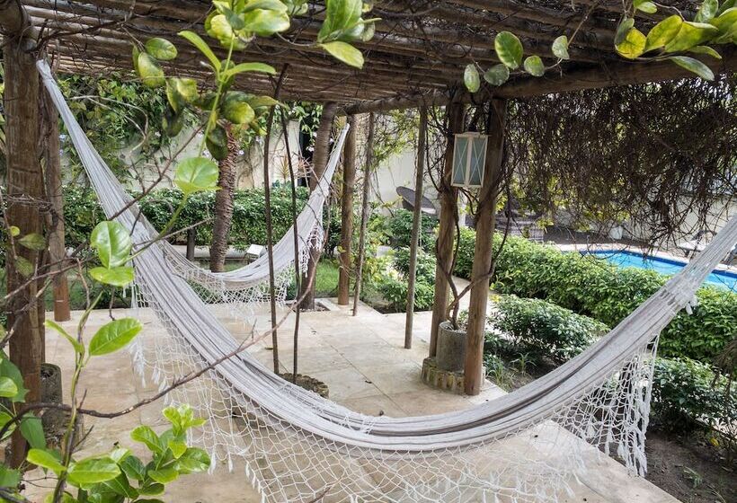 פנסיון Pousada Oasis Paracuru