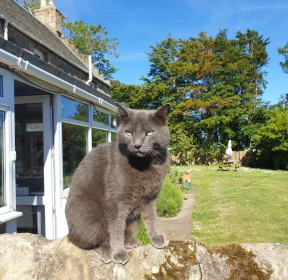 بنسيون Scooniehill Farm House B&b