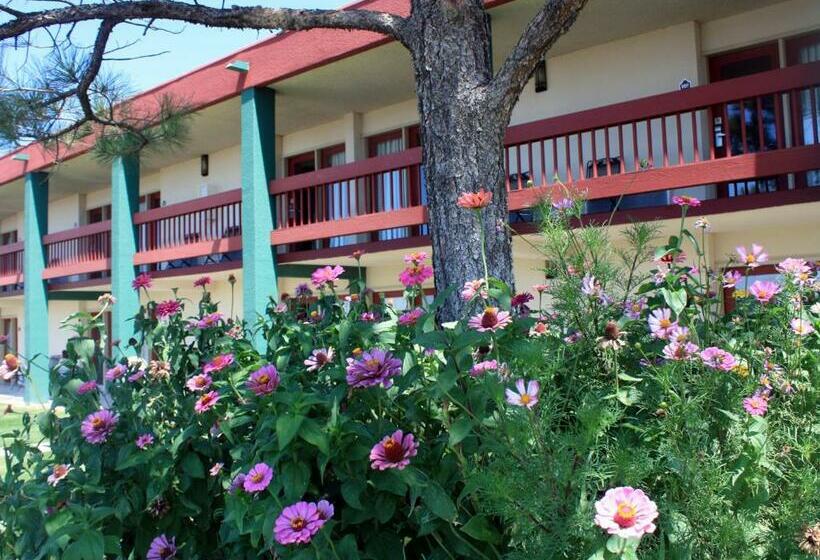 Schronisko Elephant Butte Inn