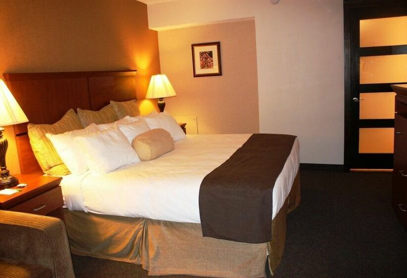 Schronisko Elephant Butte Inn