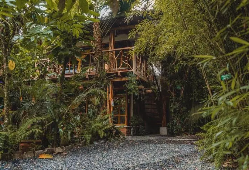 Retkeilymaja Hostal Las Palmas