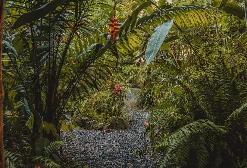 Retkeilymaja Hostal Las Palmas