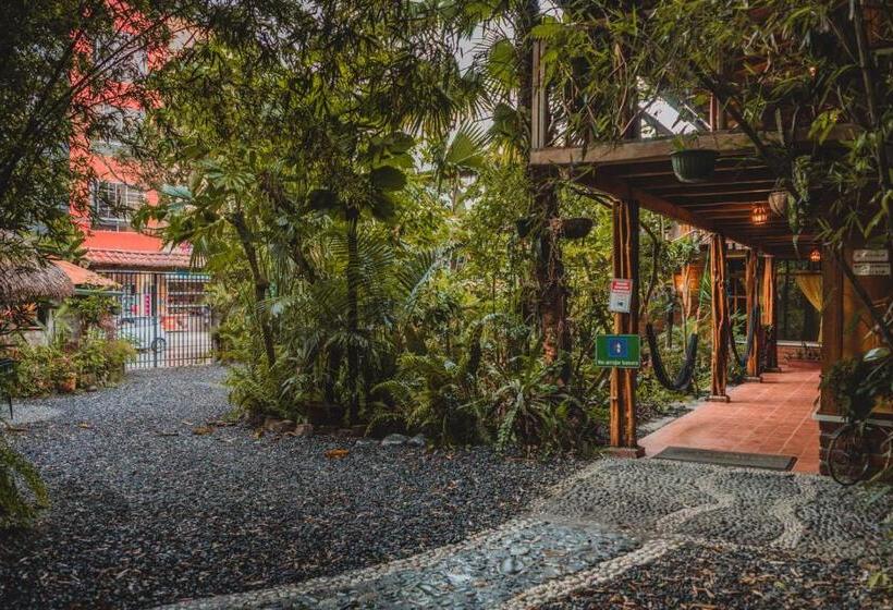 호스텔 Hostal Las Palmas