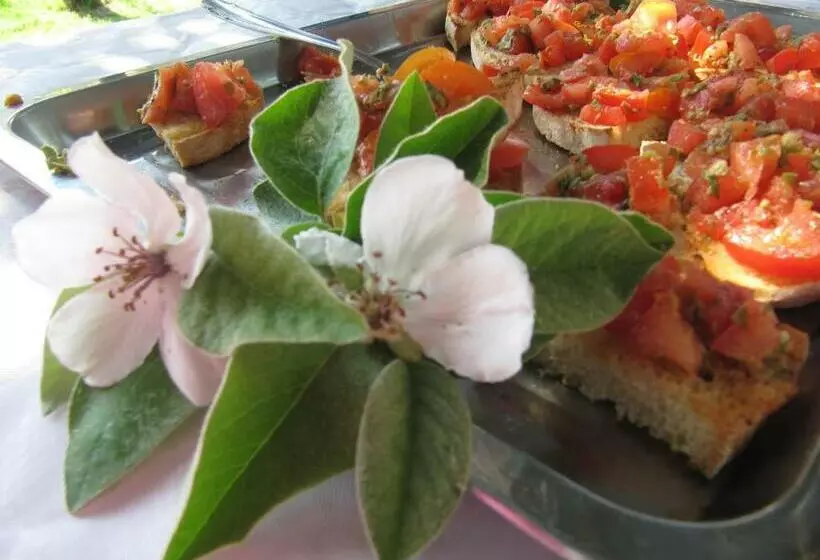 ホテル Agriturismo Lillastro
