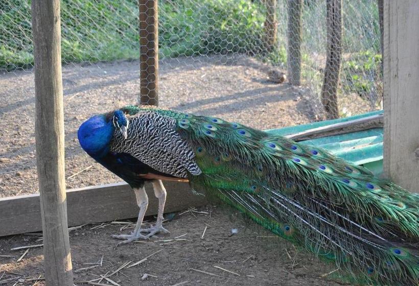 فندق Agriturismo Lillastro