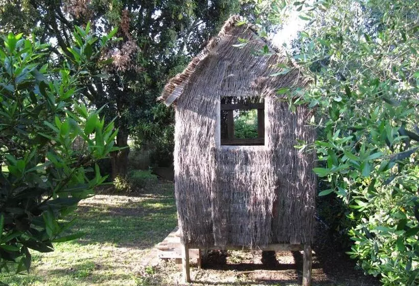 ホテル Agriturismo Lillastro