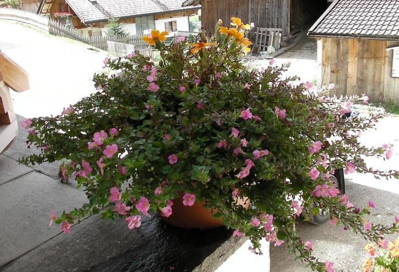 酒店 Appartamenti Suttru