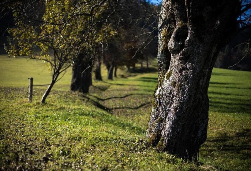 هتل Eco Tourist Farm Ravnjak