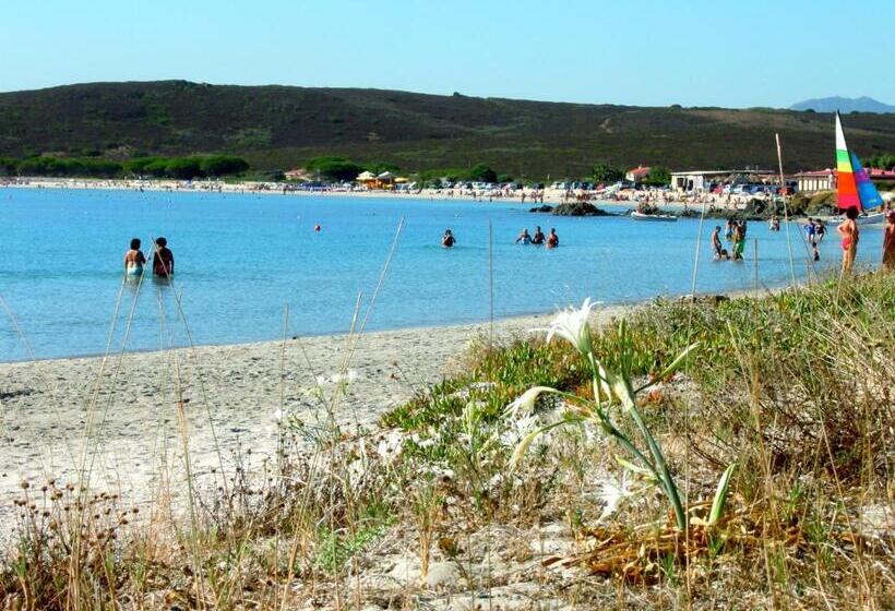 Le Dimore Di Nettuno   Happy Rentals