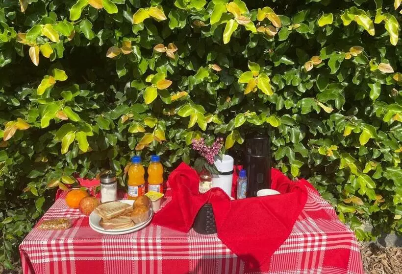 ペンション Pouzada Bom Clima   Servimos Cestas De Café Da Manhã   Melhor Custo Benefício Em Gravatá