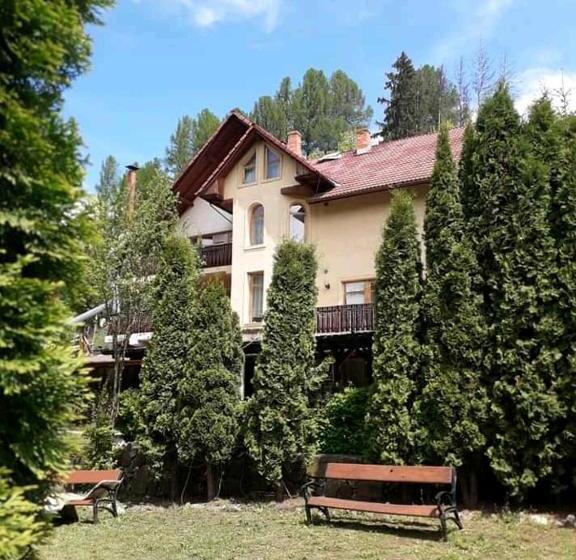 پانسیون Vila Iulia