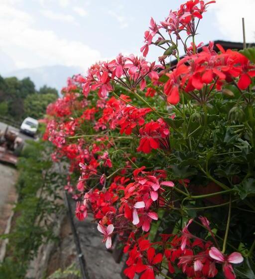 酒店 Agriturismo Al Castagneto