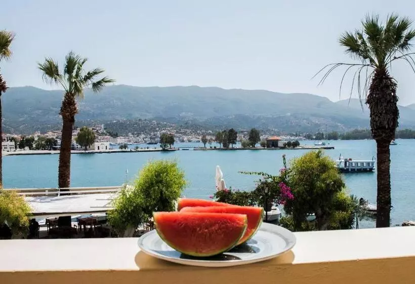 هتل Theano
