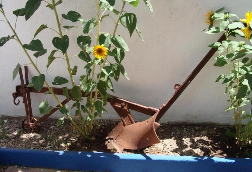 بنسيون Aguarela Tavira