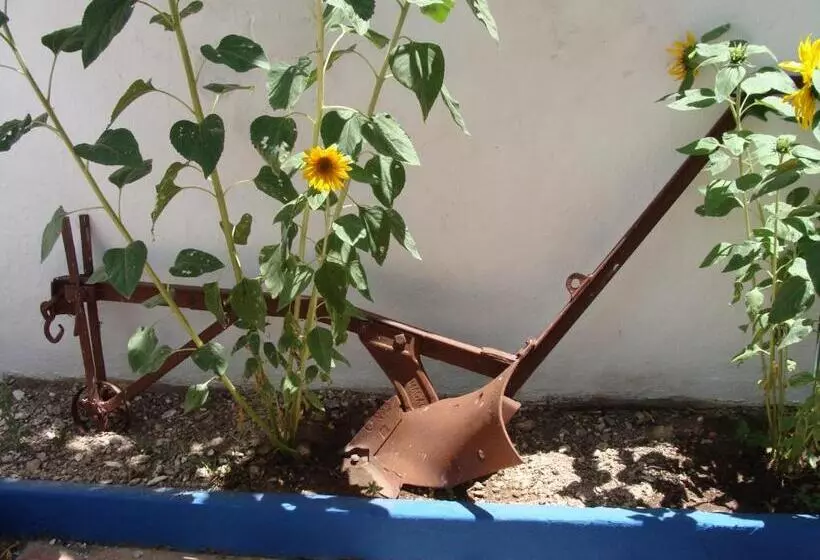 ペンション Aguarela Tavira