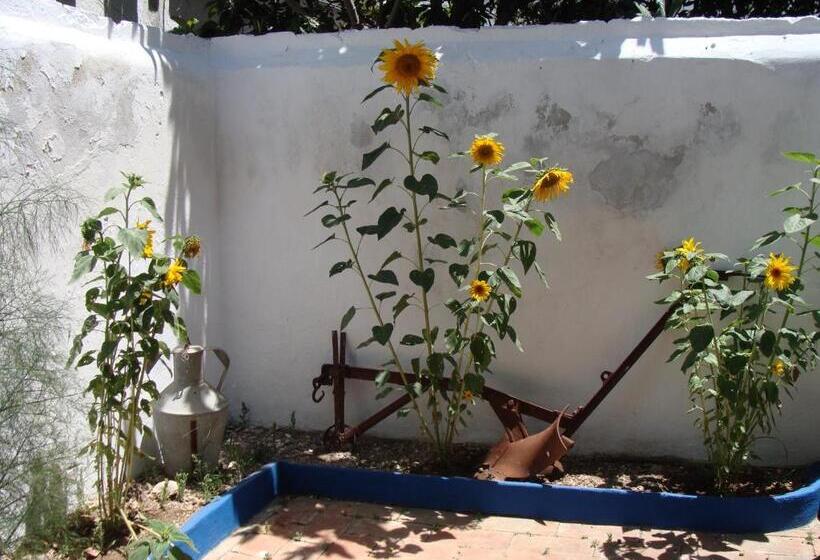 بنسيون Aguarela Tavira