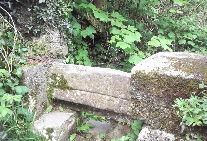 פנסיון An Stór Townhouse