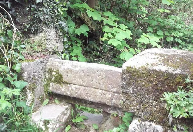 ペンション An Stór Townhouse