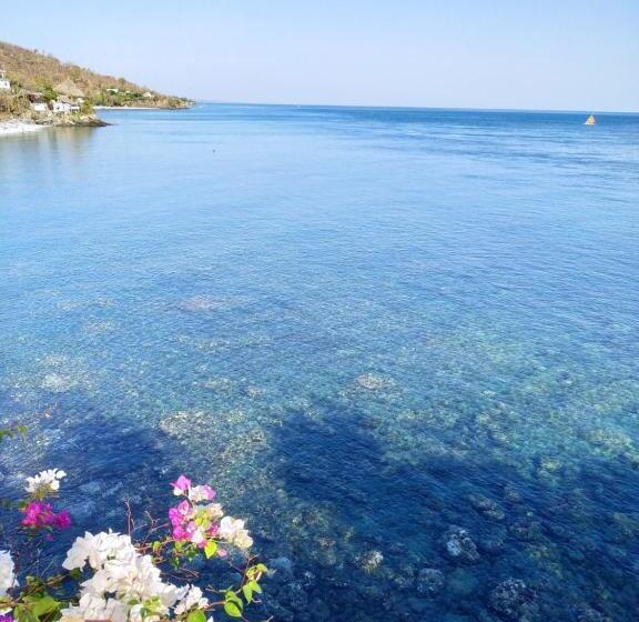 פנסיון Aquaterrace Amed