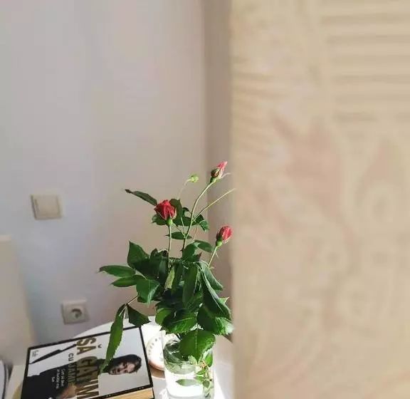 ペンション Casa File De Poveste