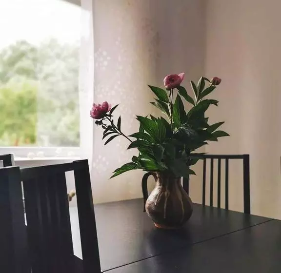 ペンション Casa File De Poveste