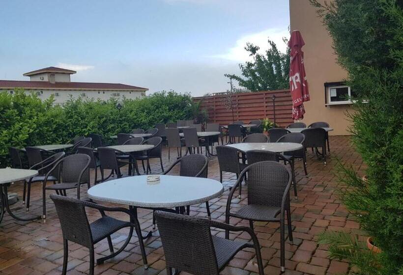 펜션 Ametist Casa Leului