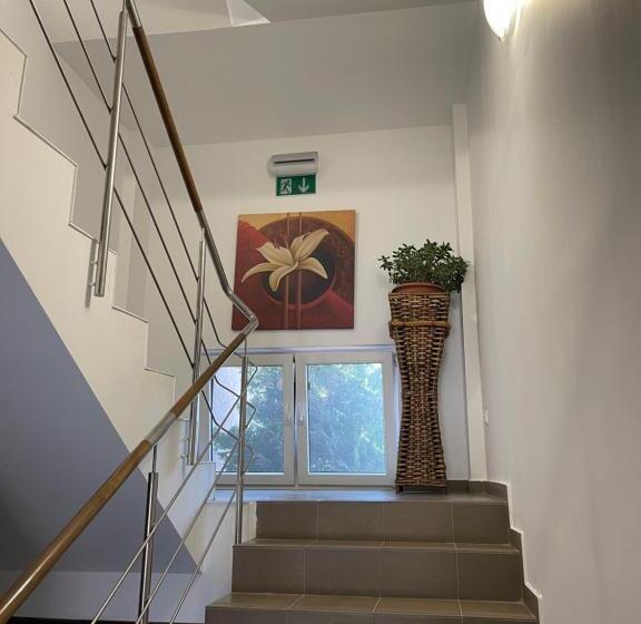 펜션 Ametist Casa Leului