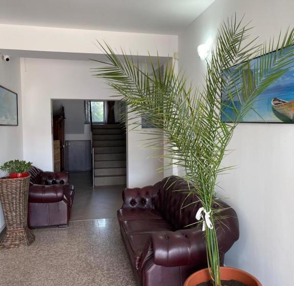 펜션 Ametist Casa Leului