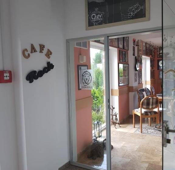 펜션 Ametist Casa Leului