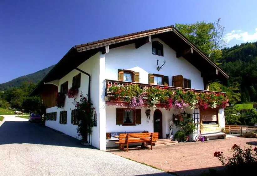 ペンション Haus Wiesenrand