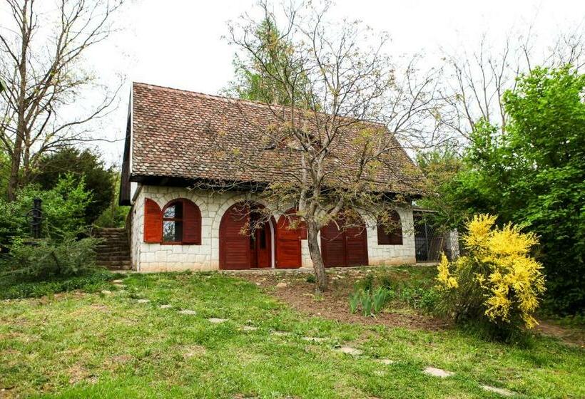 פנסיון Myrtus Pince és Vendégház