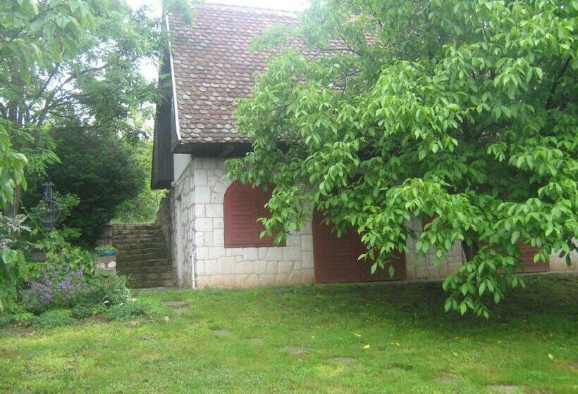 פנסיון Myrtus Pince és Vendégház