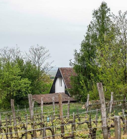 פנסיון Myrtus Pince és Vendégház