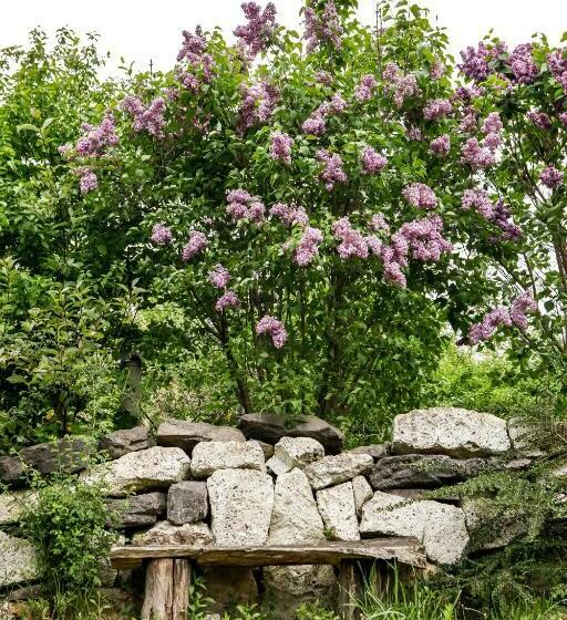 פנסיון Myrtus Pince és Vendégház