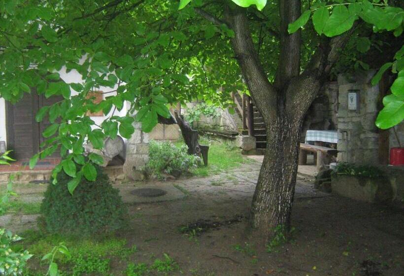 פנסיון Myrtus Pince és Vendégház