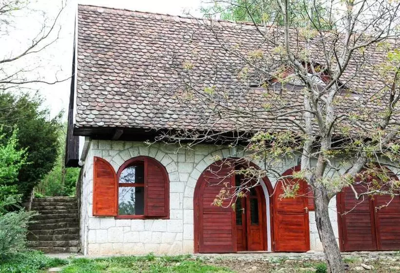 ペンション Myrtus Pince és Vendégház