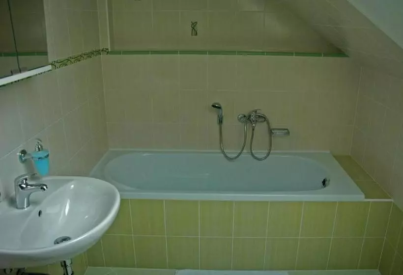 Majatalo Penzion Tašner