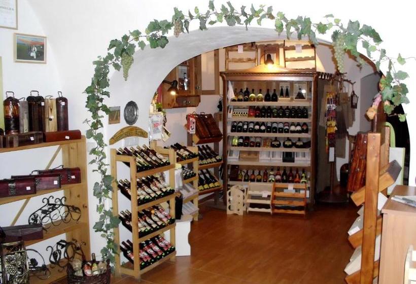 膳宿费 Penzion Tašner