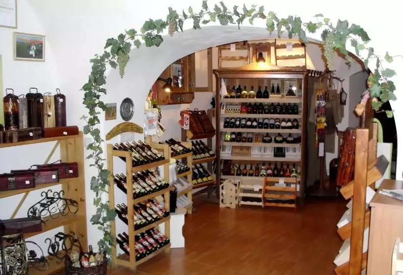 Majatalo Penzion Tašner