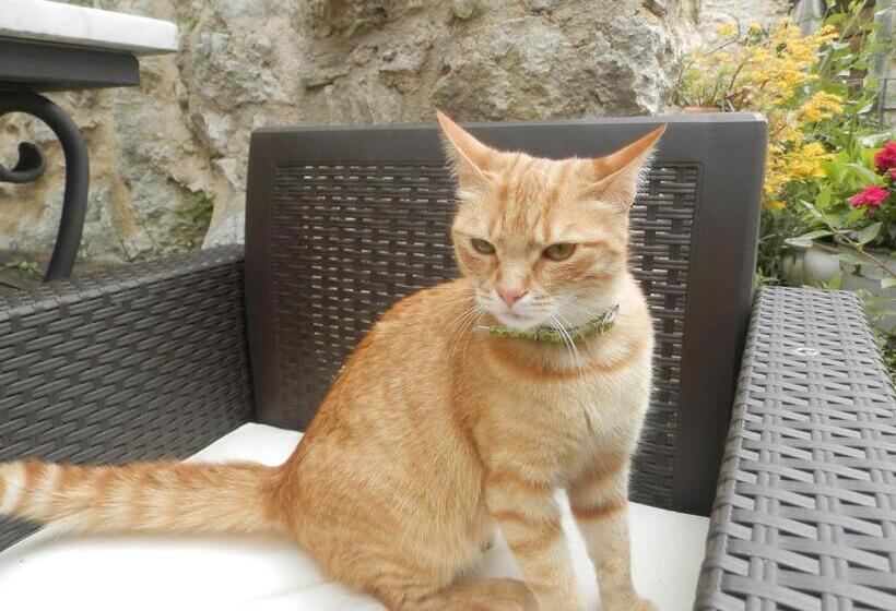 پانسیون Residenza Di Paese Castello Del Poggio